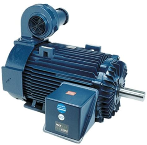 magnetek blue max motor